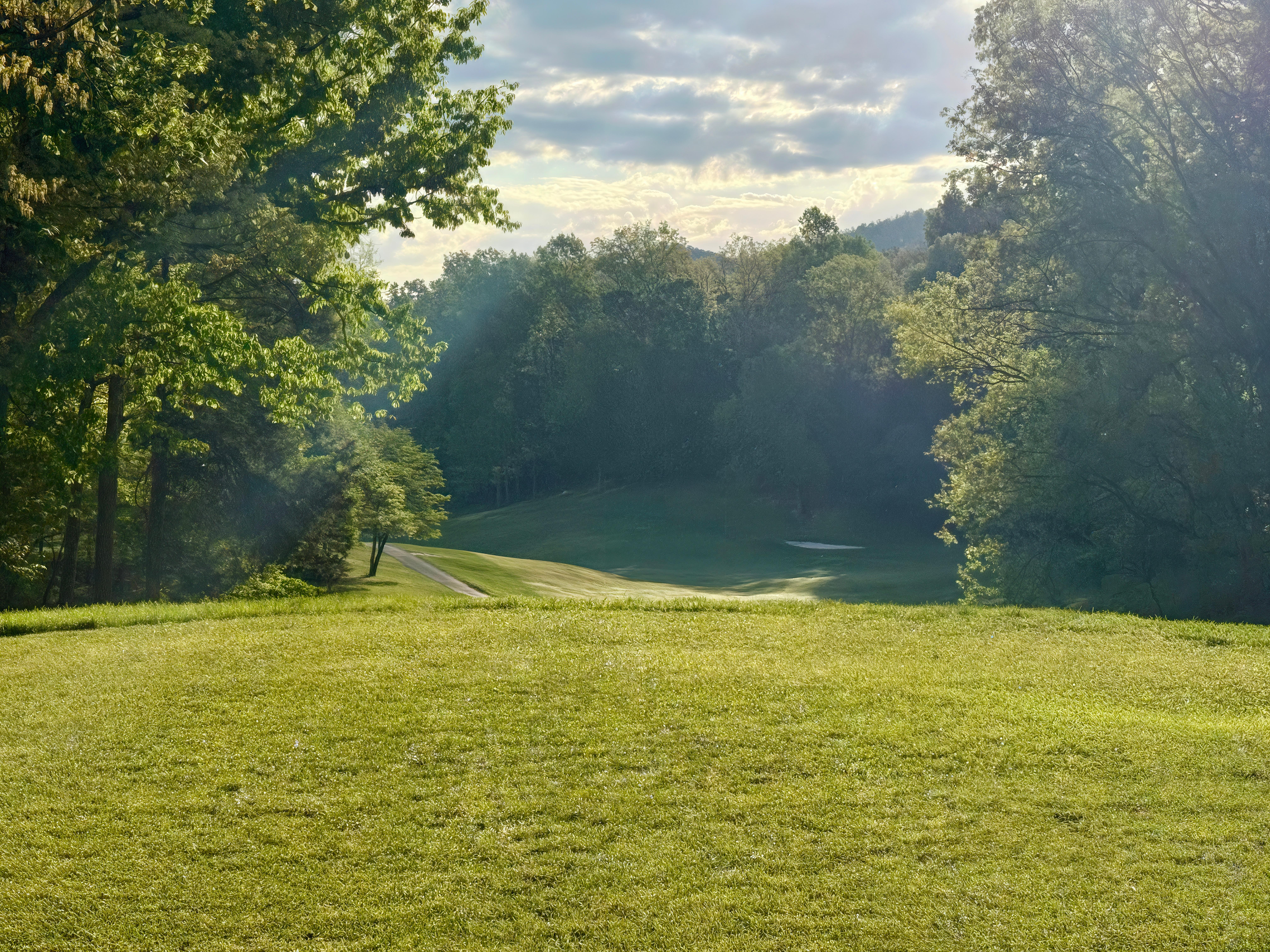 Tree-lined fairway